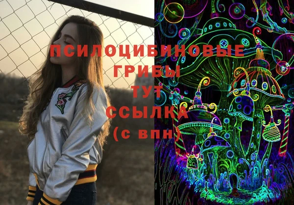 первитин Краснослободск