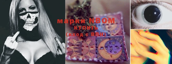 сатива Кукмор