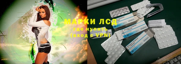 сатива Кукмор